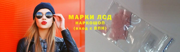 трава Аркадак